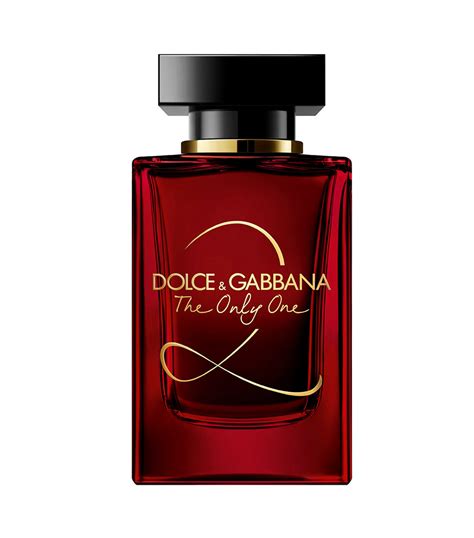 perfume dolce gabanna .